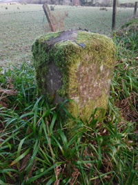 burgh boundary stone in garrawy glen 01