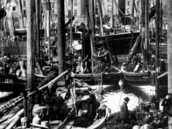 herring fishing boats