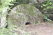 mill_wheel_copy