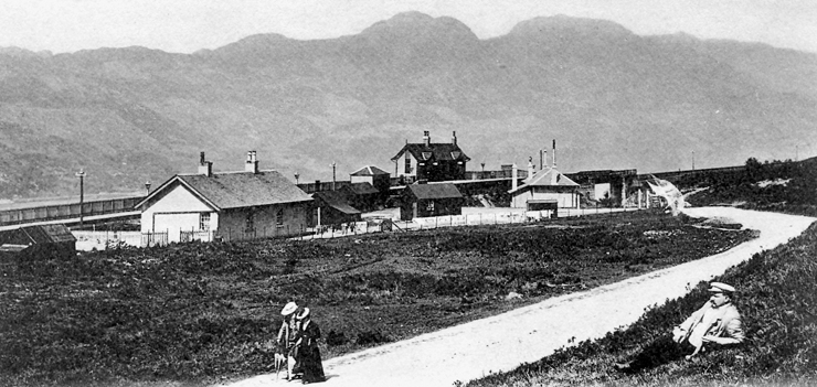 Whistlefield-1